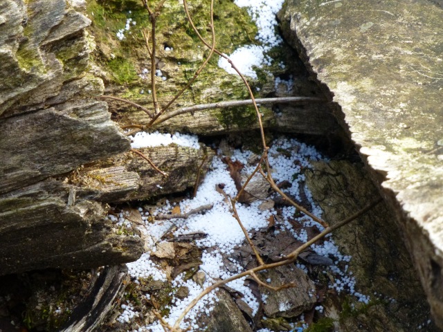 f0357487_22453561.jpg