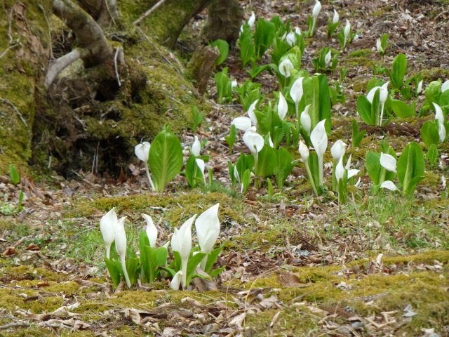 f0357487_22461650.jpg