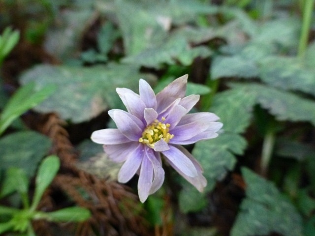 f0357487_22495890.jpg