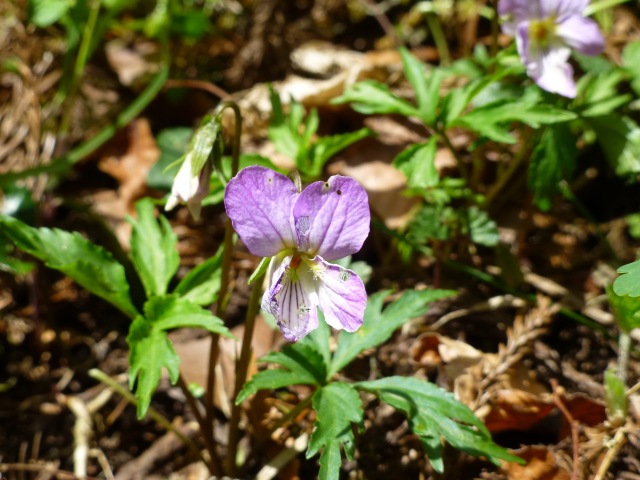 f0357487_2251266.jpg
