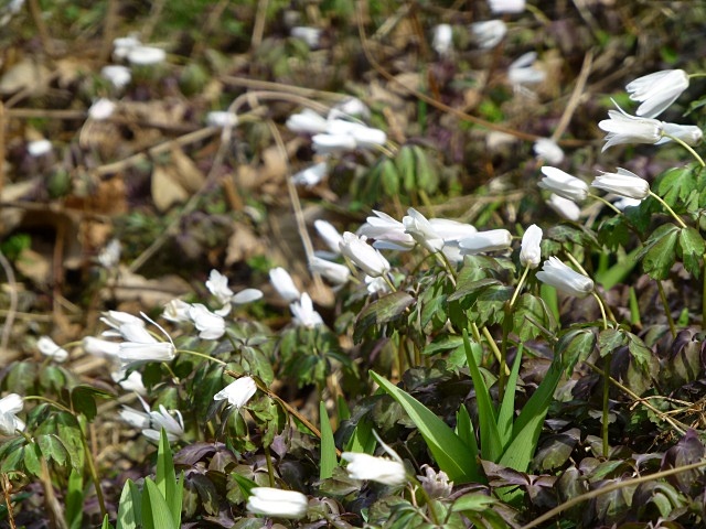 f0357487_22523634.jpg
