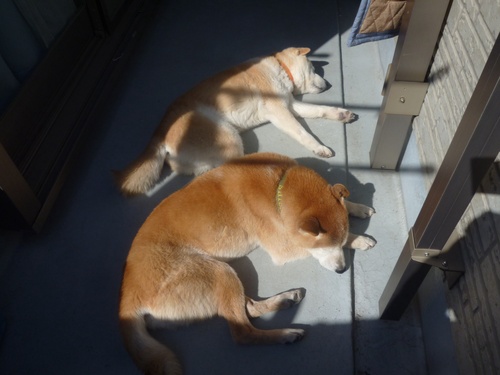 c0123890_215440.jpg
