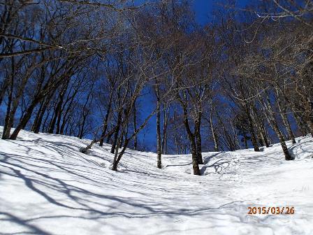 a0036693_212897.jpg