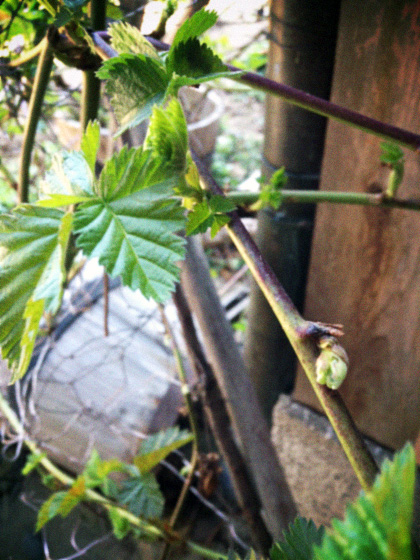 d0077603_13131032.jpg