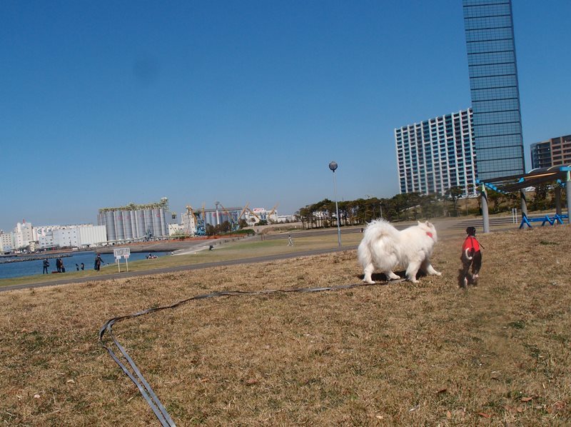 e0018604_22534349.jpg