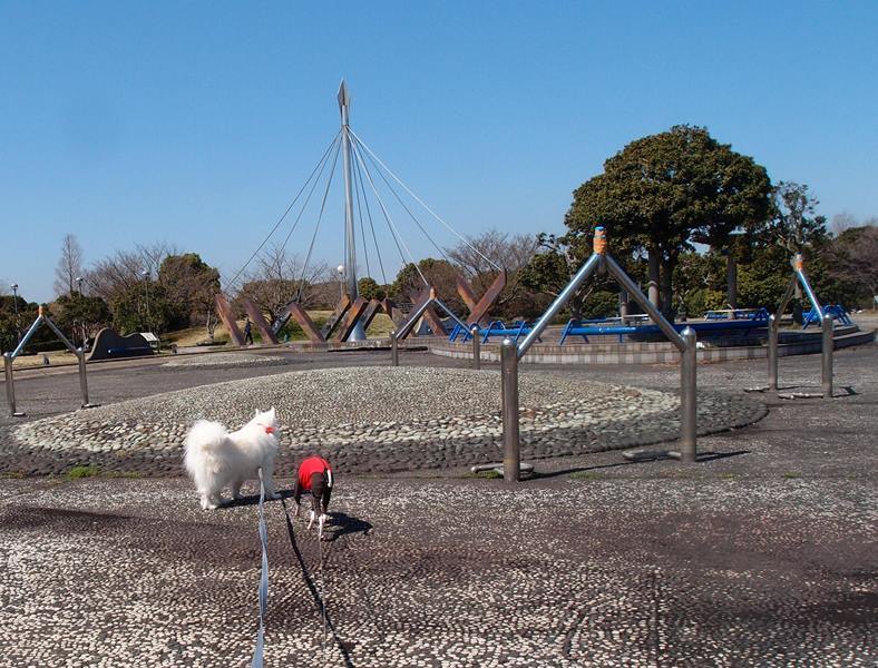 e0018604_22541654.jpg