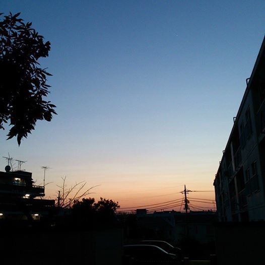 b0314807_00335966.jpg