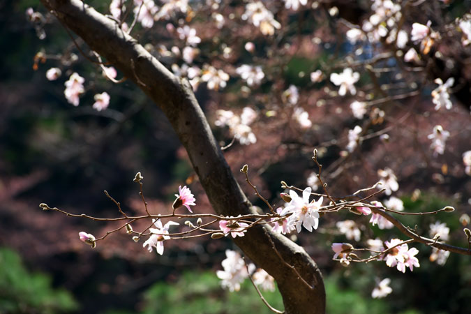 a0263109_22134119.jpg