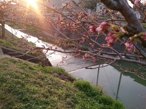 c0352015_18272160.jpg