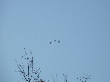 f0191517_16235980.jpg