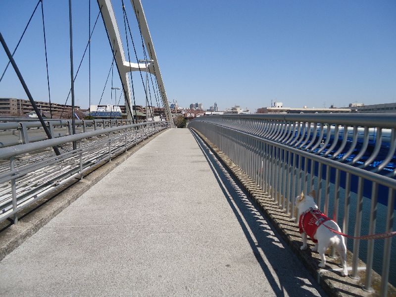 b0248920_7263412.jpg