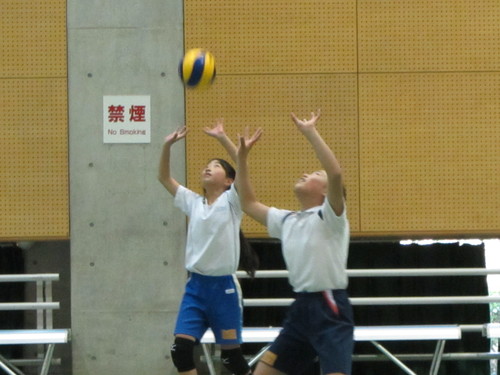d0138226_1401452.jpg