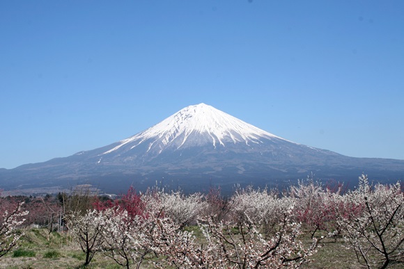 e0033229_20215163.jpg