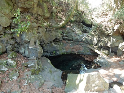 e0033229_2051923.jpg