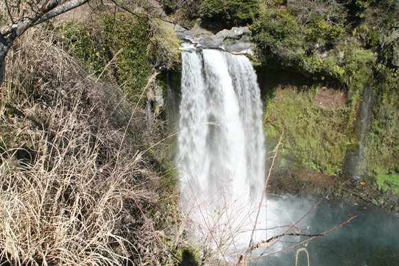 e0033229_2071732.jpg