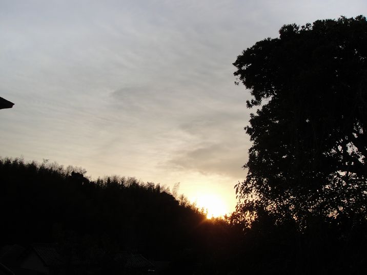 f0088731_19425233.jpg