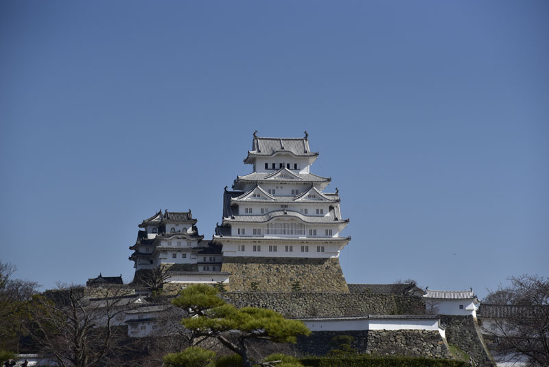 b0042837_173577.jpg