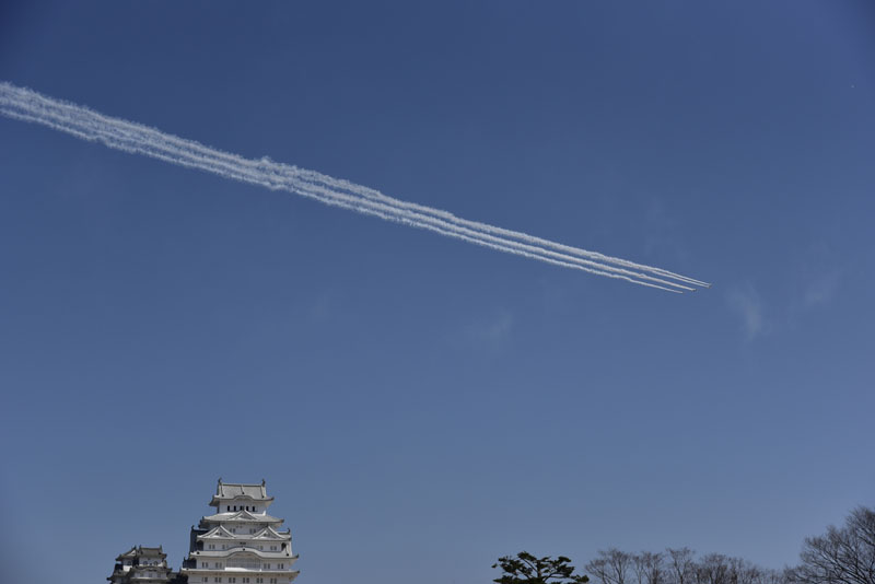 b0042837_175251.jpg