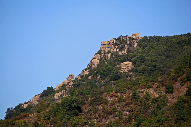 a0242438_19262118.jpg
