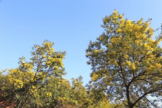 a0242438_19272348.jpg