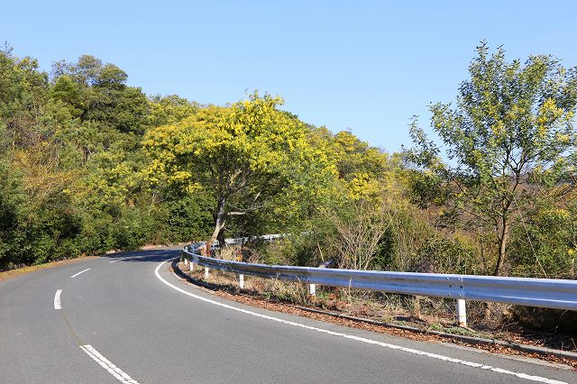 a0242438_19272893.jpg