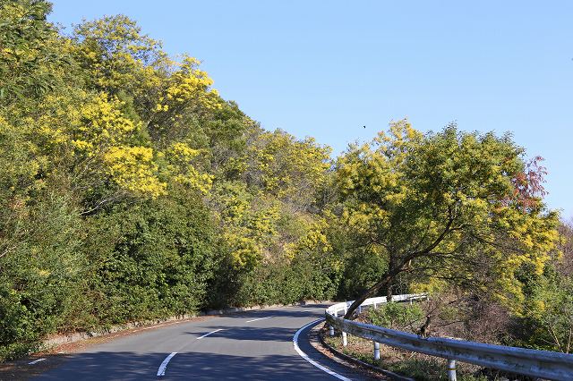 a0242438_192733100.jpg