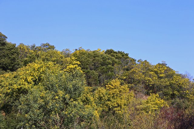 a0242438_1928235.jpg