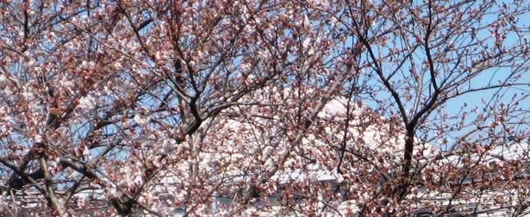 e0255638_1242459.jpg
