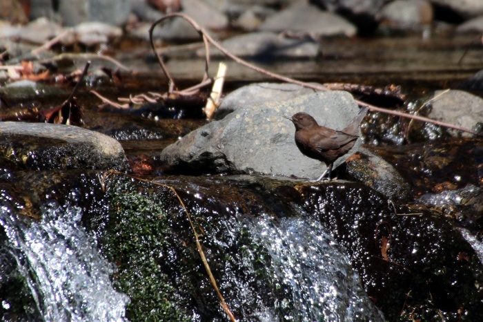 c0269342_20143980.jpg