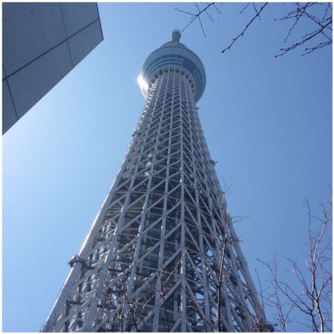 e0210347_8475589.jpg