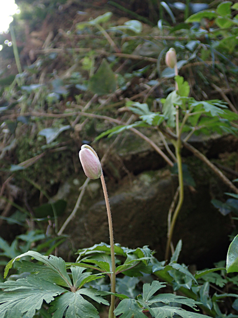 f0214649_501964.jpg