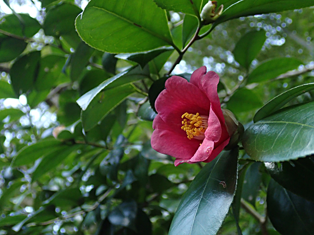 f0214649_532151.jpg
