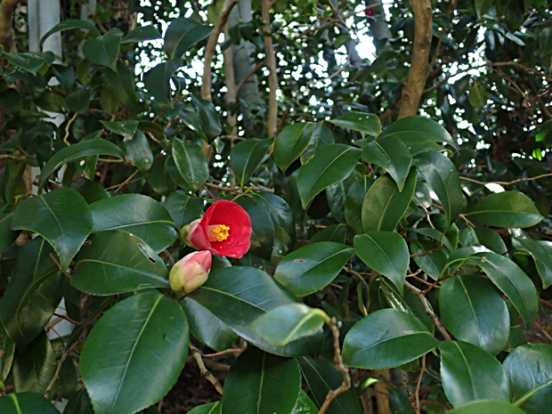f0214649_533079.jpg