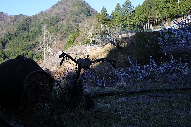 f0288049_11503526.jpg