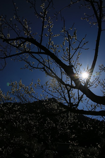 f0288049_11512765.jpg