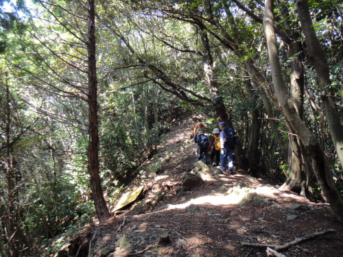 c0179351_20272118.jpg