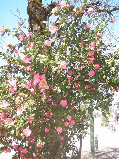 c0327752_14493869.jpg