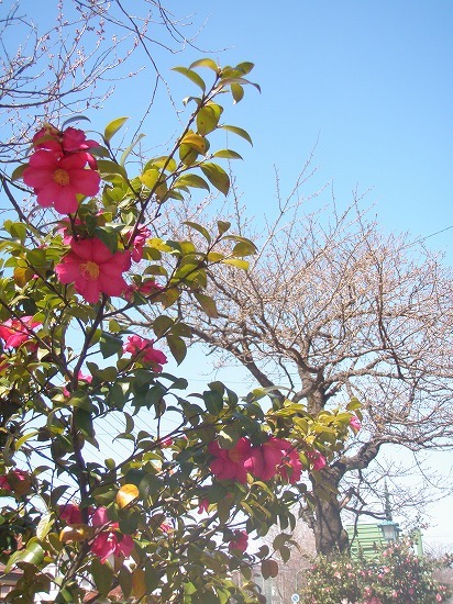 c0327752_14531219.jpg