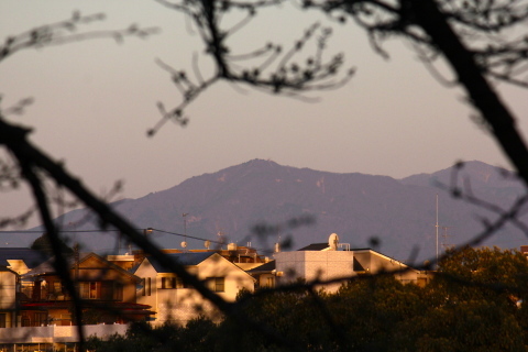 a0248459_18004764.jpg