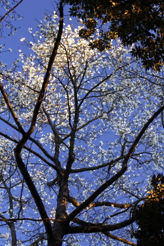 a0248459_18011222.jpg