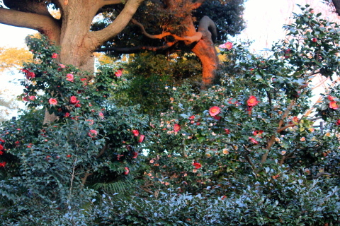 a0248459_18014175.jpg