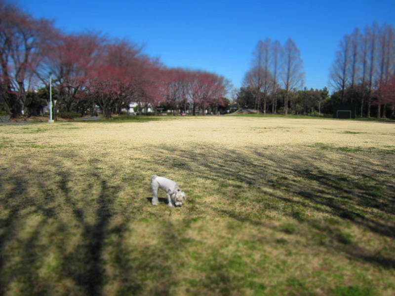 d0264176_19491642.jpg