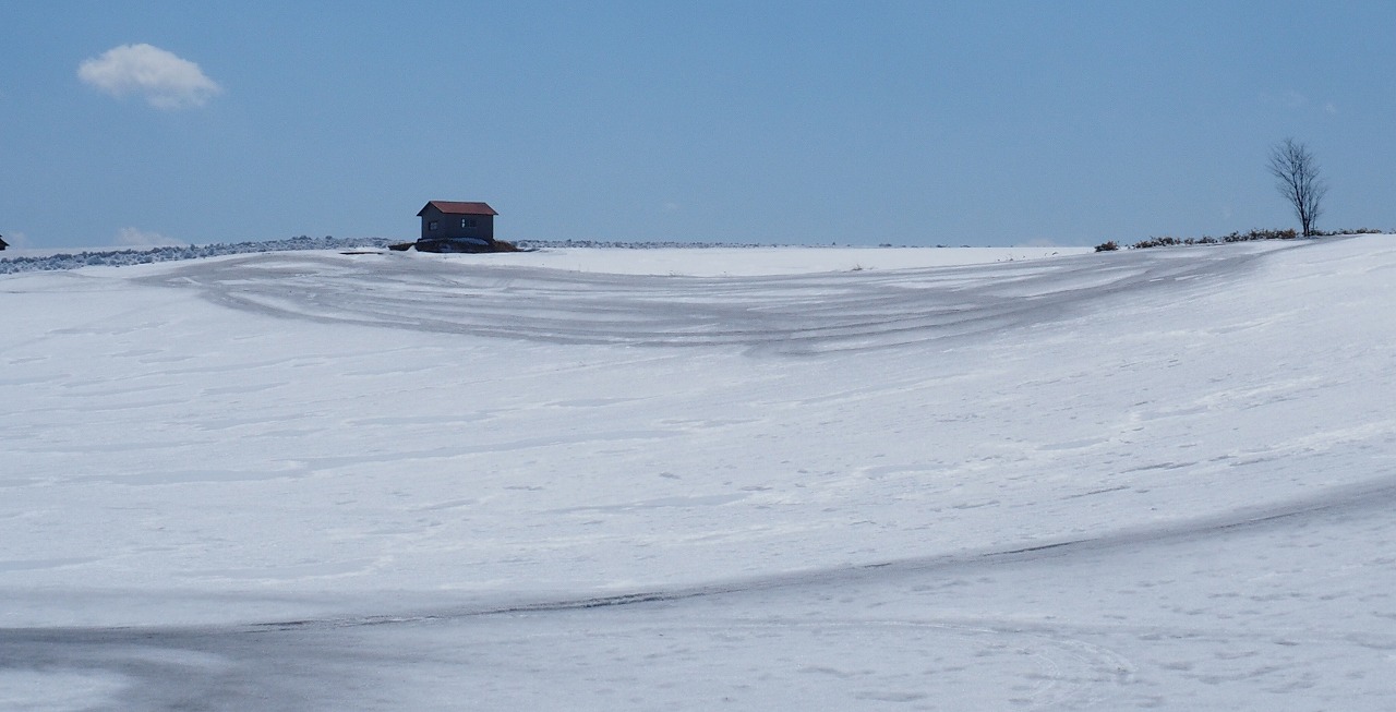 c0355778_12124846.jpg