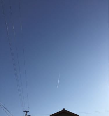 d0119487_1741565.jpg