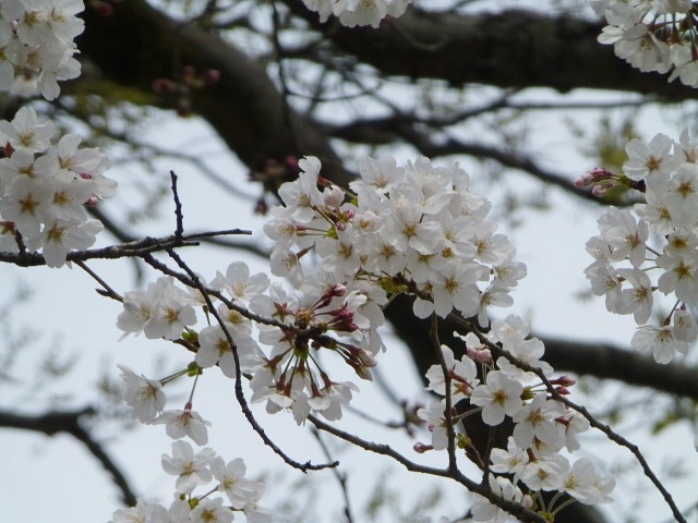 f0357487_22395766.jpg