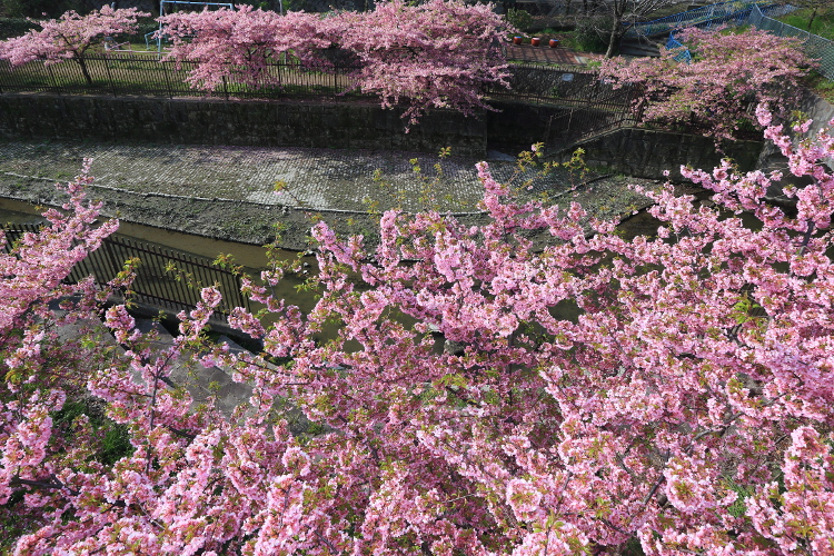 e0051888_414446.jpg