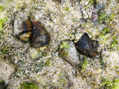 f0338188_1642990.jpg