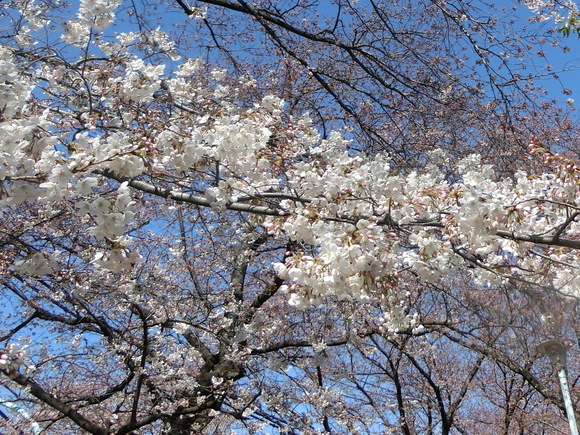 a0319693_16102789.jpg