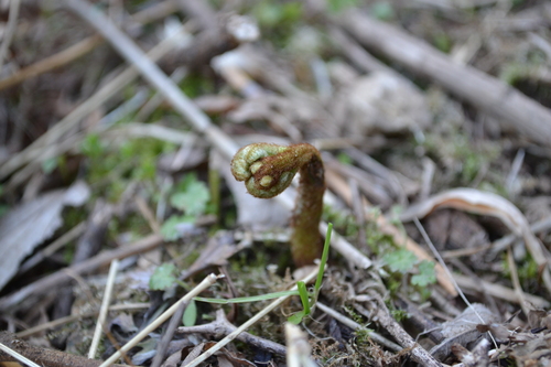 e0017396_20571297.jpg