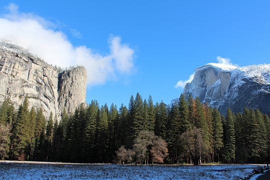c0153302_13225929.jpg